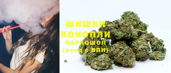 ПСИЛОЦИБИНОВЫЕ ГРИБЫ Сясьстрой