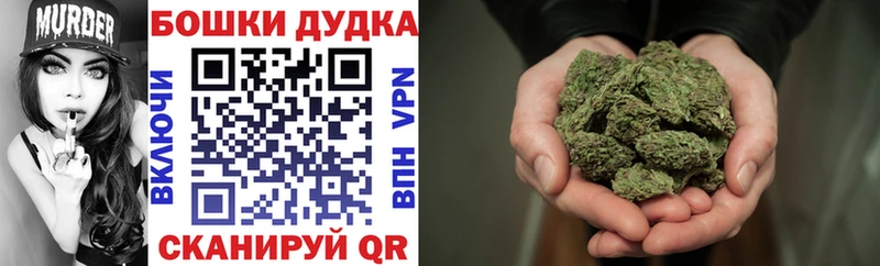 Шишки марихуана гибрид Чудово